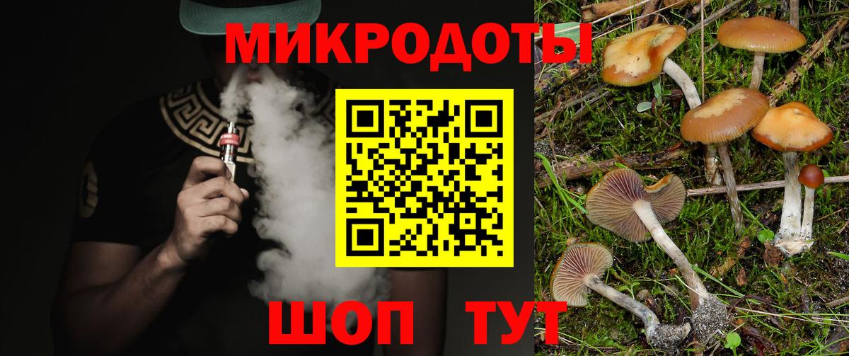 Изобильный  Псилоцибиновые грибы Cubensis  Вход с VPN 