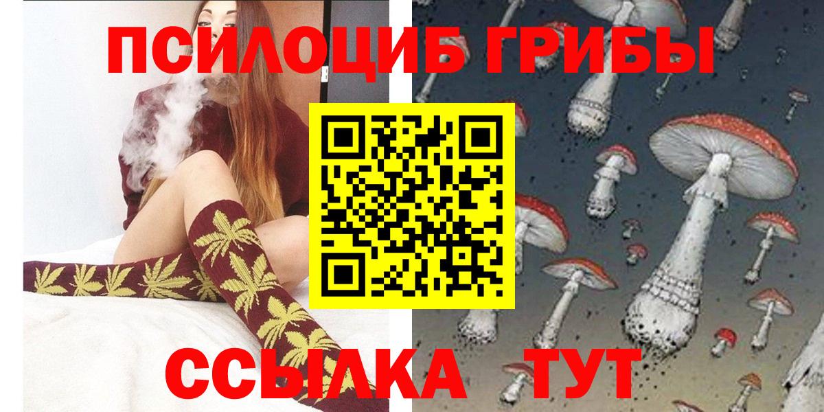 Галлюциногенные грибы Psilocybe Изобильный