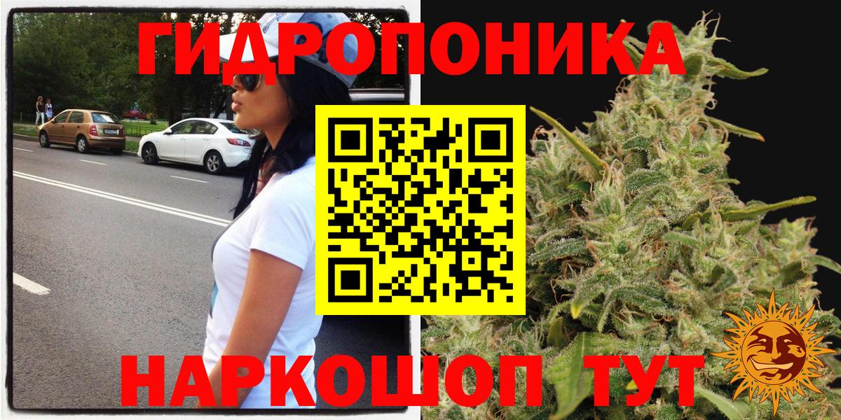 Бошки Шишки сатива Изобильный